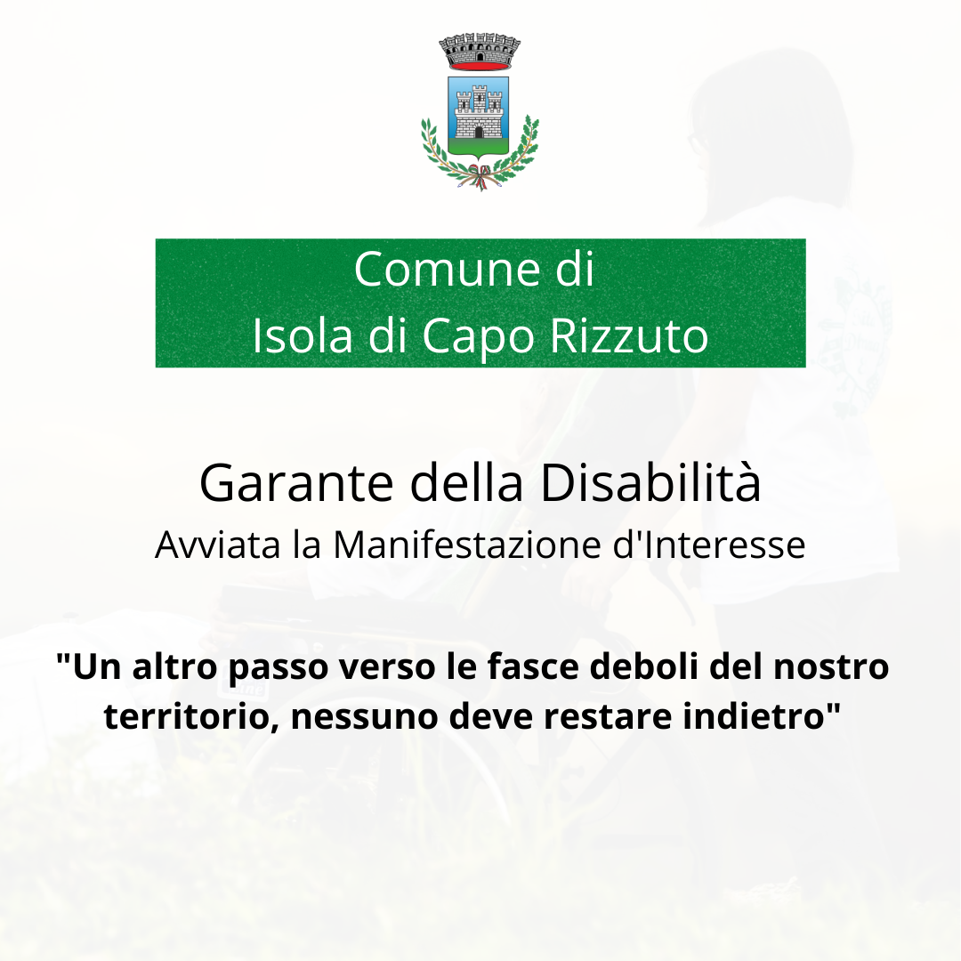 garante della disabilità
