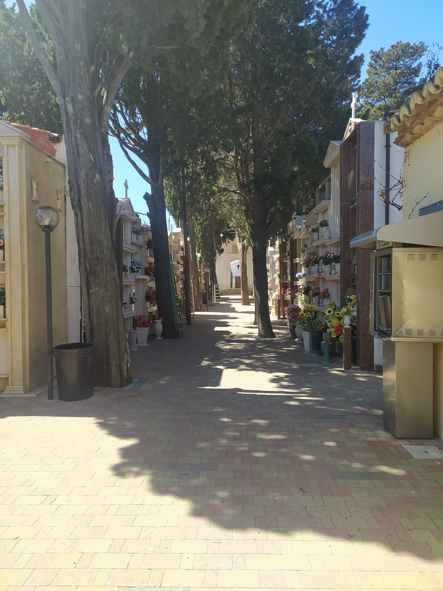 viale cimietro isola