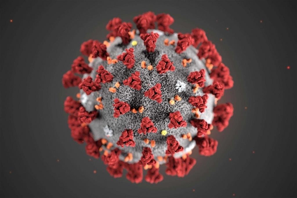 virus15